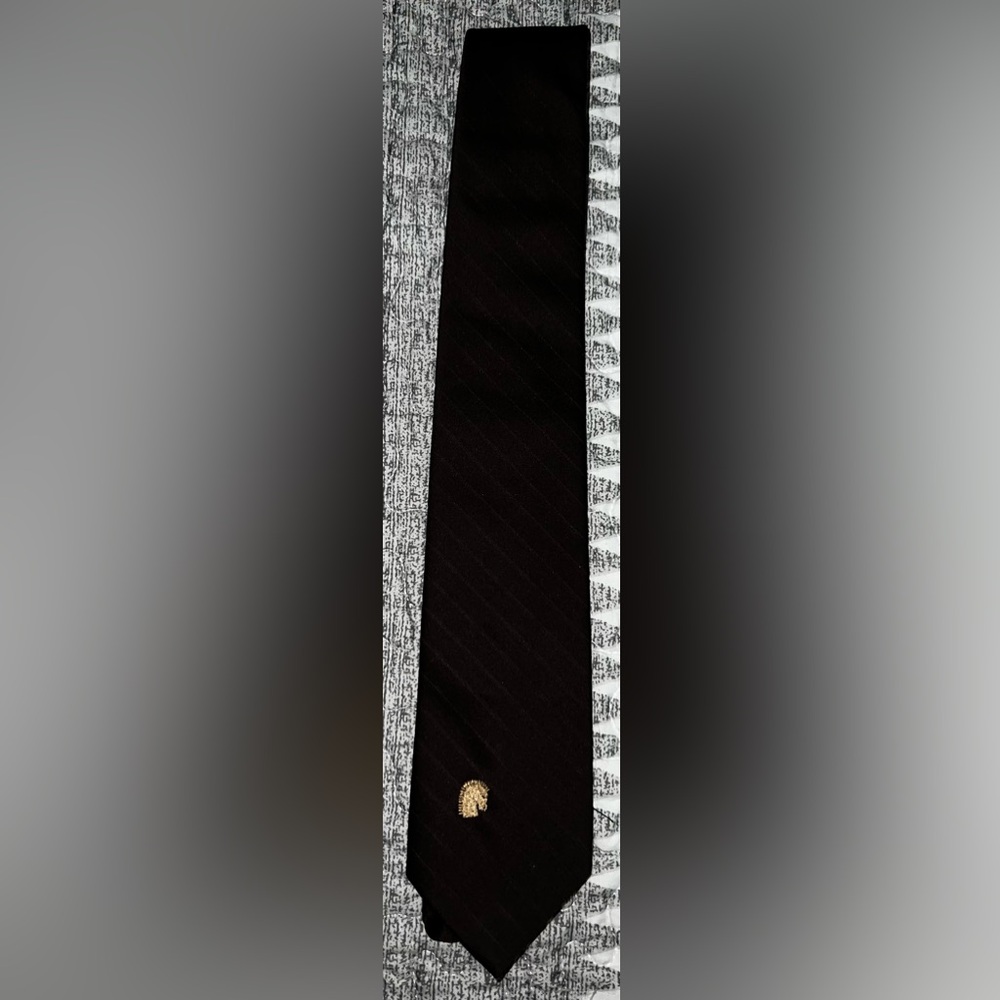 Vintage Via Veneto Brown Tie with Gold Accent
